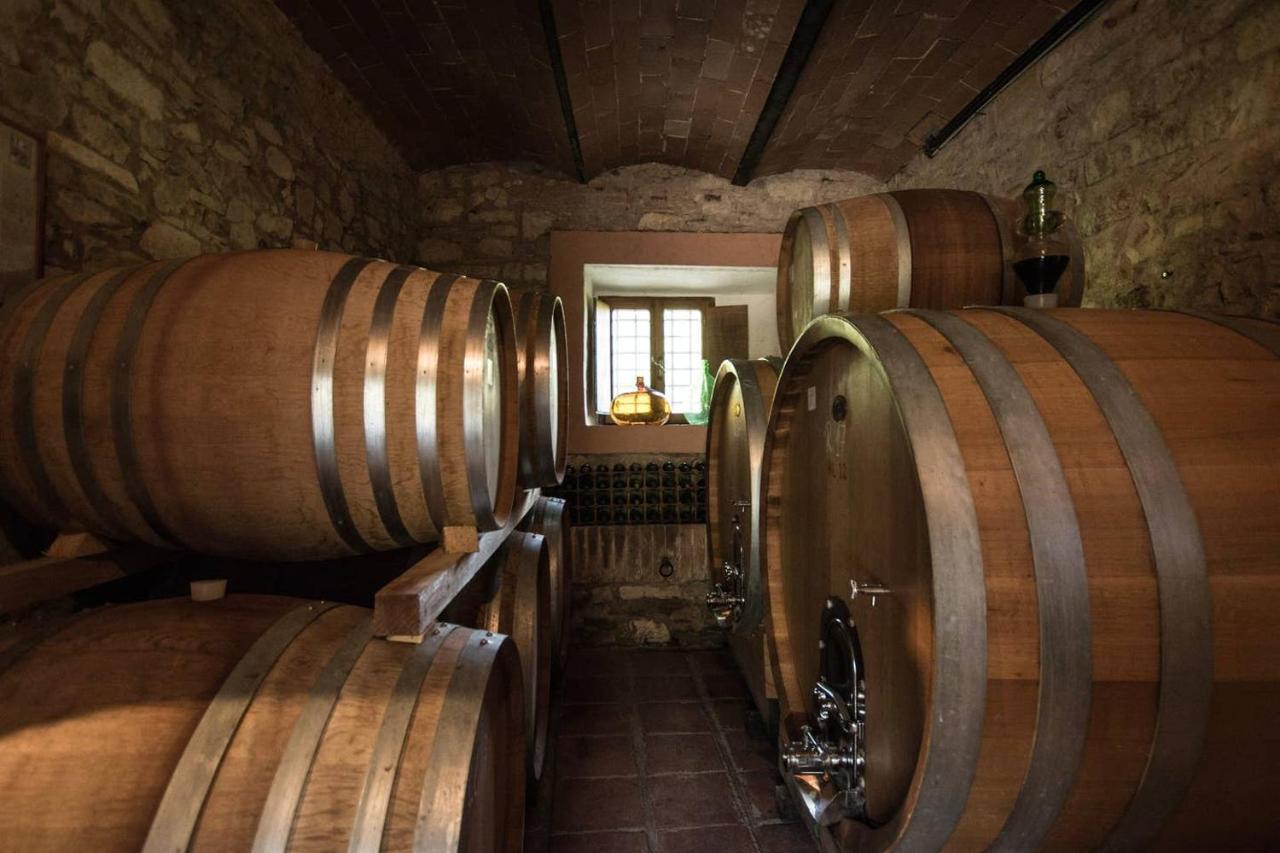 Agriturismo Buondonno Castellina in Chianti Luaran gambar